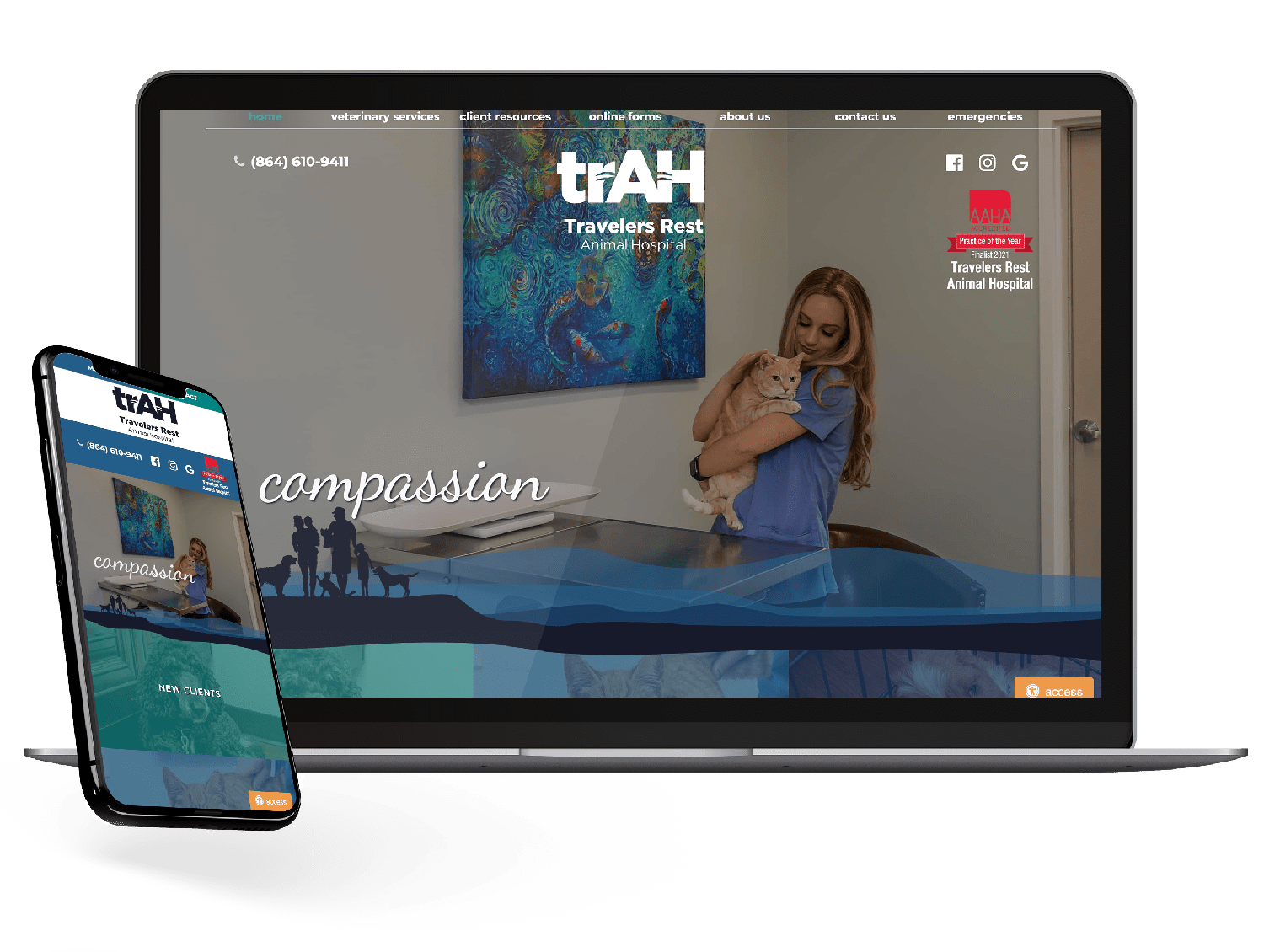 Beyond Indigo Pets custom website