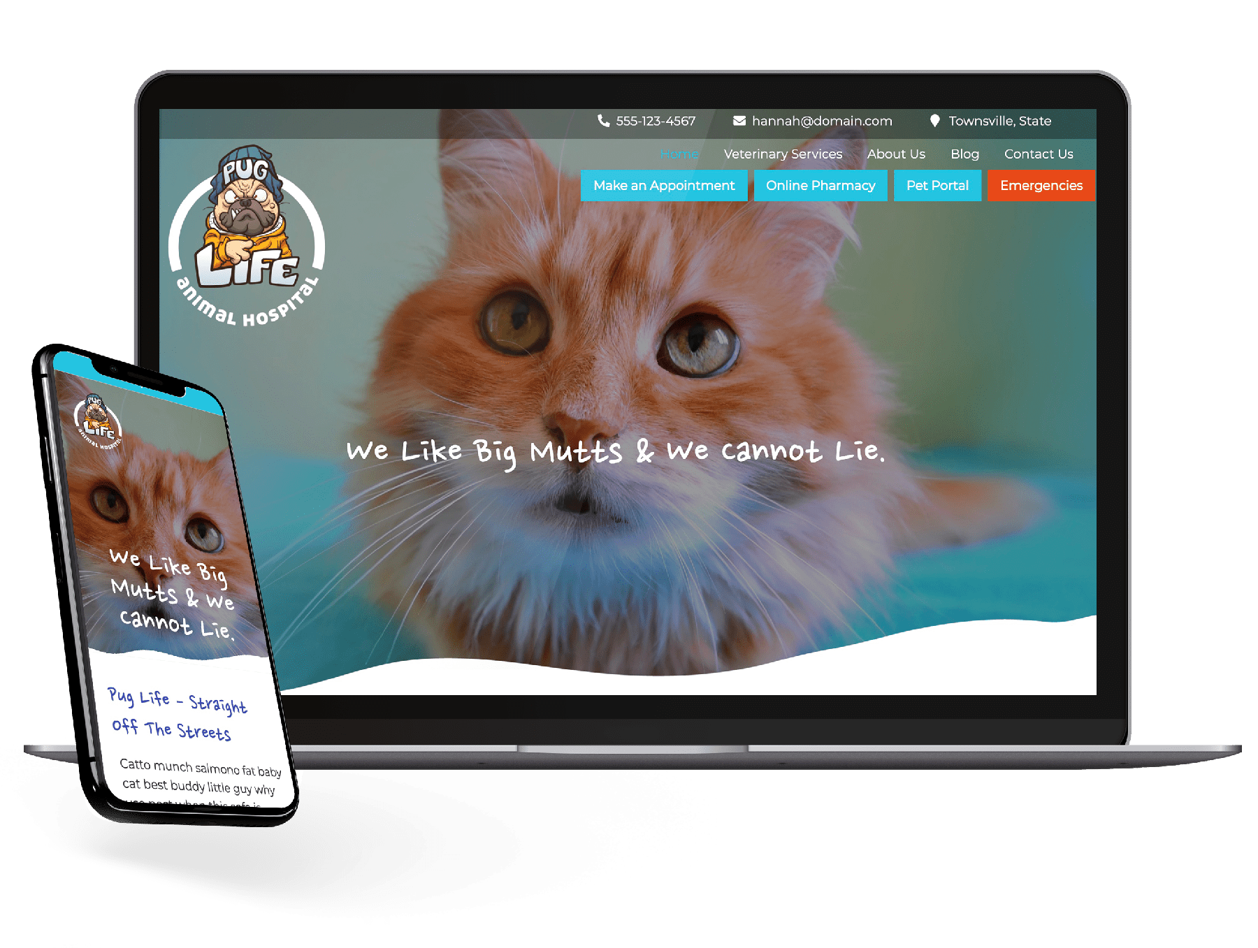 Beyond Indigo Pets website